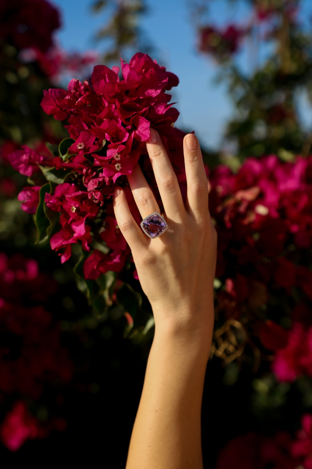 poniros jewellery ring against bougainvillea flowers