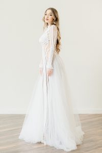 Sansevieria - Image 5