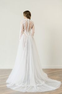 Sansevieria - Image 4